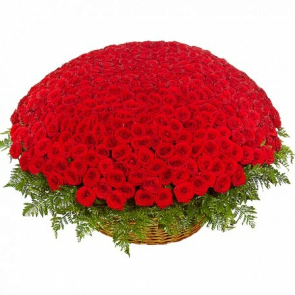 Композиция из 501 розы